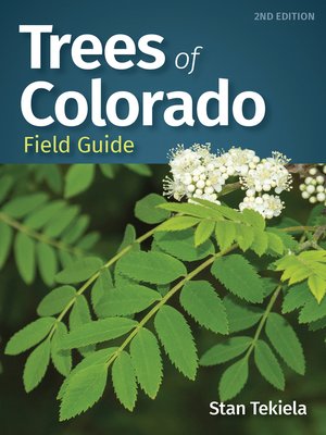 cover image of Trees of Colorado Field Guide